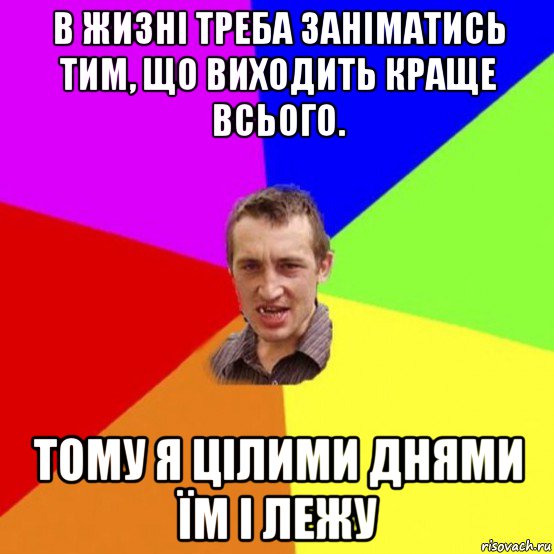 в жизні треба заніматись тим, що виходить краще всього. тому я цілими днями їм і лежу