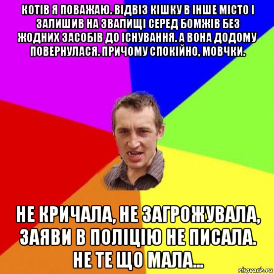 котів я поважаю. відвіз кішку в інше місто і залишив на звалищі серед бомжів без жодних засобів до існування. а вона додому повернулася. причому спокійно, мовчки. не кричала, не загрожувала, заяви в поліцію не писала. не те що мала...