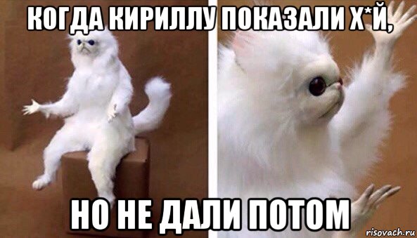 когда кириллу показали х*й, но не дали потом, Мем Чучело кота