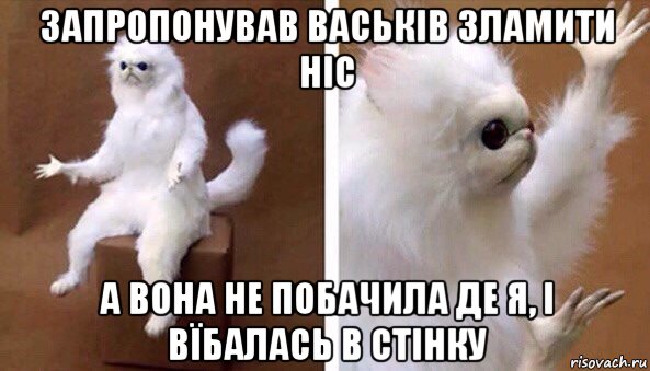 запропонував васьків зламити ніс а вона не побачила де я, і вїбалась в стінку, Мем Чучело кота