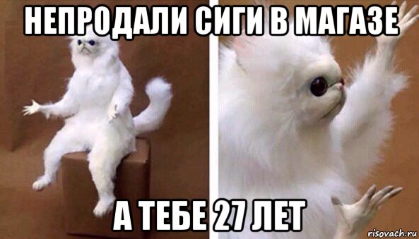 непродали сиги в магазе а тебе 27 лет, Мем Чучело кота