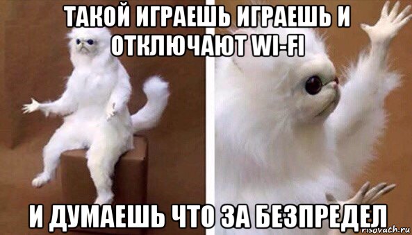 такой играешь играешь и отключают wi-fi и думаешь что за безпредел, Мем Чучело кота