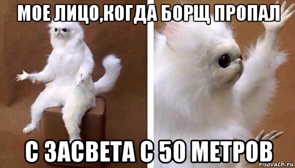 мое лицо,когда борщ пропал с засвета с 50 метров, Мем Чучело кота