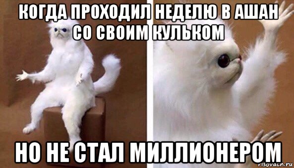 когда проходил неделю в ашан со своим кульком но не стал миллионером, Мем Чучело кота