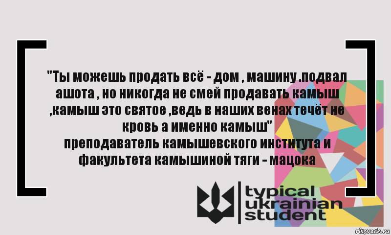 "Ты можешь продать всё - дом , машину .подвал ашота , но никогда не смей продавать камыш ,камыш это святое ,ведь в наших венах течёт не кровь а именно камыш"
преподаватель камышевского института и факультета камышиной тяги - мацока