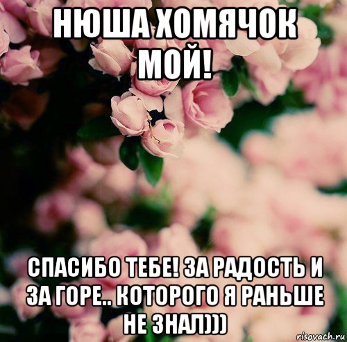 нюша хомячок мой! спасибо тебе! за радость и за горе.. которого я раньше не знал)))