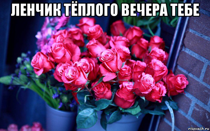 ленчик тёплого вечера тебе 