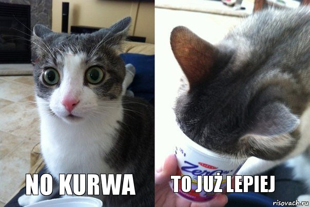 No kurwa To już lepiej, Комикс  Да не бред-какой-то (2 зоны)