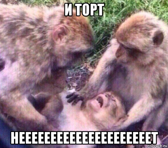 и торт нееееееееееееееееееееет