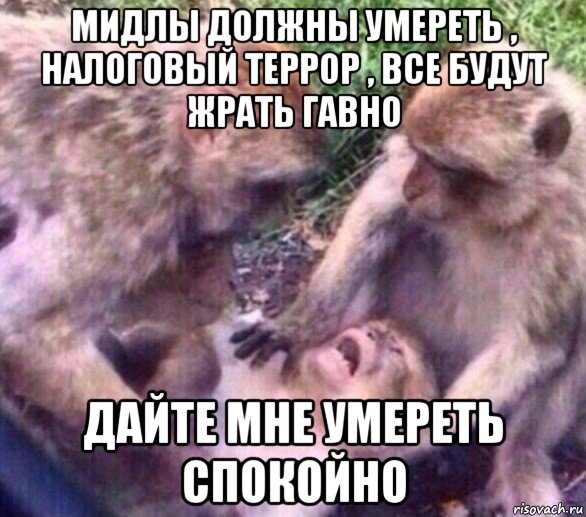 мидлы должны умереть , налоговый террор , все будут жрать гавно дайте мне умереть спокойно