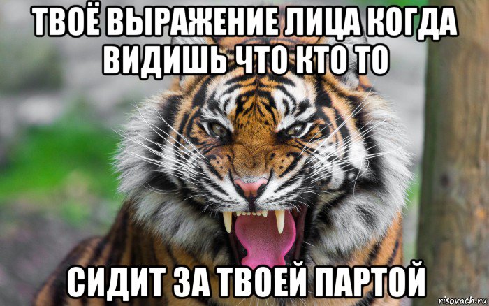 твоё выражение лица когда видишь что кто то сидит за твоей партой, Мем ДЕРЗКИЙ ТИГР