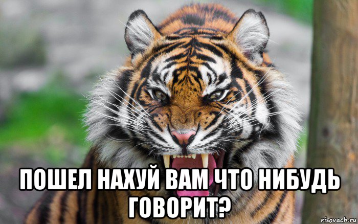  пошел нахуй вам что нибудь говорит?