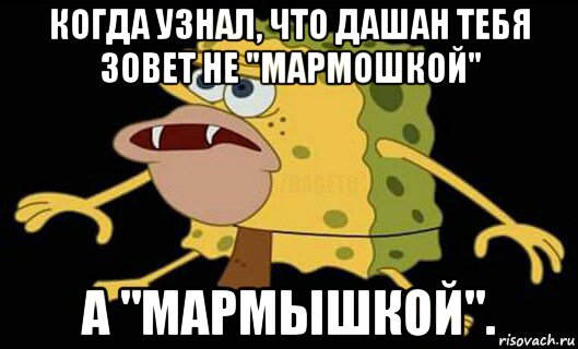 когда узнал, что дашан тебя зовет не "мармошкой" а "мармышкой"., Мем Дикий спанч боб