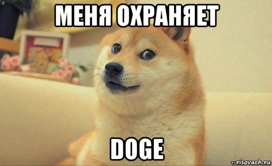 меня охраняет doge