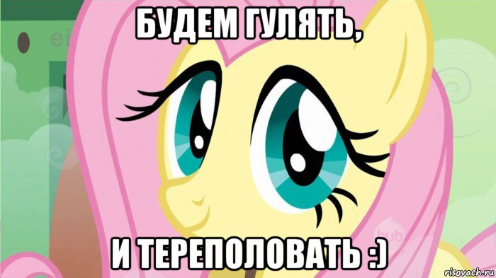 будем гулять, и тереполовать :), Мем DONT TOUCH MY FLUTTERSHY SON OF 