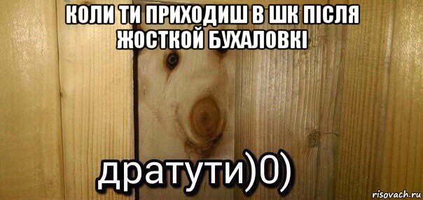 коли ти приходиш в шк після жосткой бухаловкі , Мем  Дратути