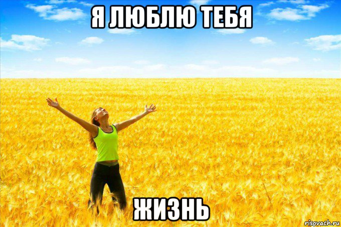я люблю тебя жизнь