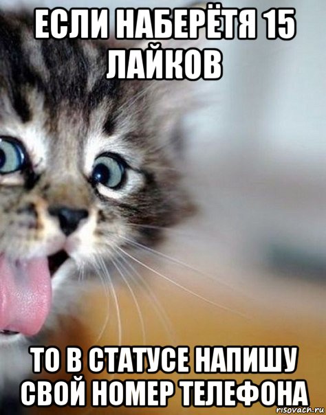 если наберётя 15 лайков то в статусе напишу свой номер телефона