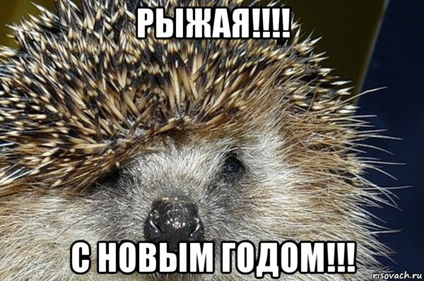 рыжая!!!! с новым годом!!!