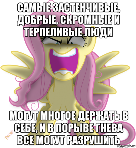 самые застенчивые, добрые, скромные и терпеливые люди могут многое держать в себе, и в порыве гнева все могут разрушить