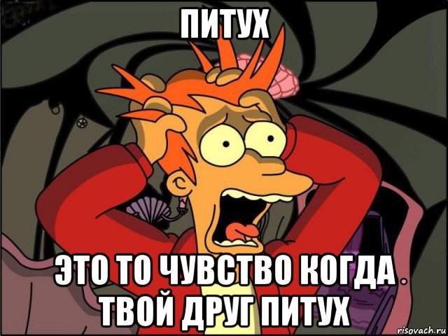 питух это то чувство когда твой друг питух