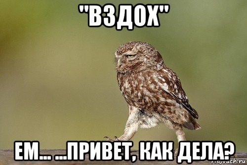 "вздох" ем... ...привет, как дела?