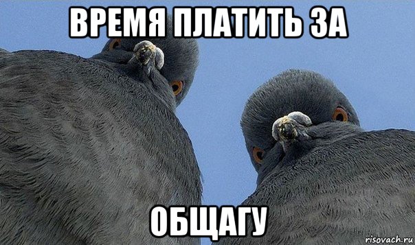 время платить за общагу