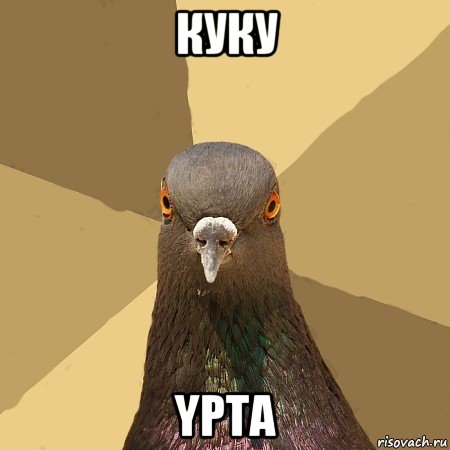 куку ypta