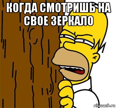 когда смотришь на свое зеркало , Мем Гомер