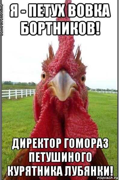 я - петух вовка бортников! директор гомораз петушиного курятника лубянки!