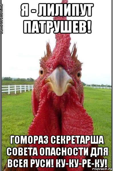 я - лилипут патрушев! гомораз секретарша совета опасности для всея руси! ку-ку-ре-ку!