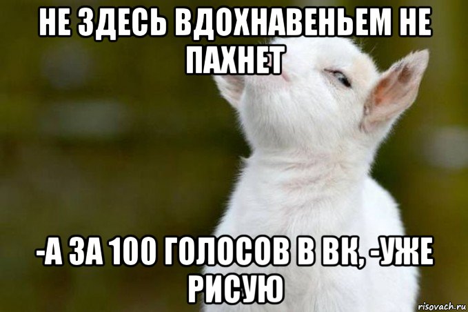 не здесь вдохнавеньем не пахнет -а за 100 голосов в вк, -уже рисую, Мем  Гордый козленок