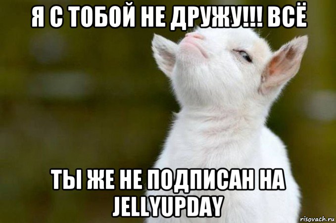 я с тобой не дружу!!! всё ты же не подписан на jellyupday, Мем  Гордый козленок