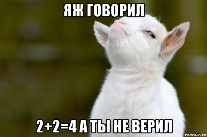 яж говорил 2+2=4 а ты не верил, Мем  Гордый козленок