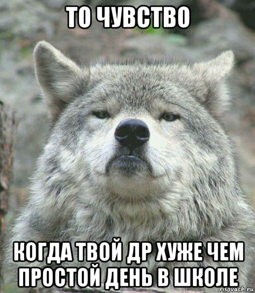 то чувство когда твой др хуже чем простой день в школе, Мем    Гордый волк