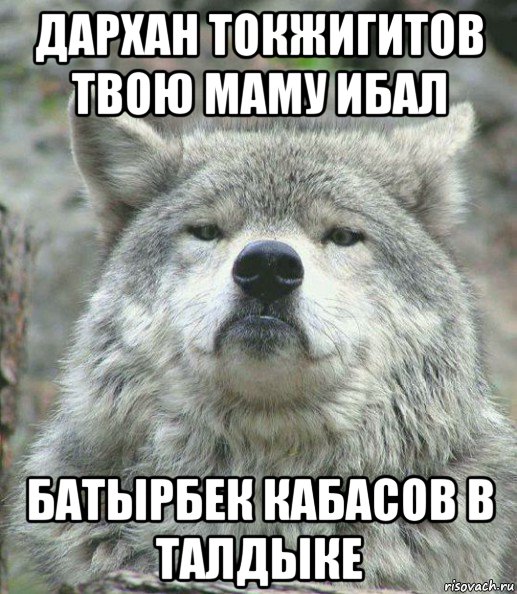 дархан токжигитов твою маму ибал батырбек кабасов в талдыке, Мем    Гордый волк