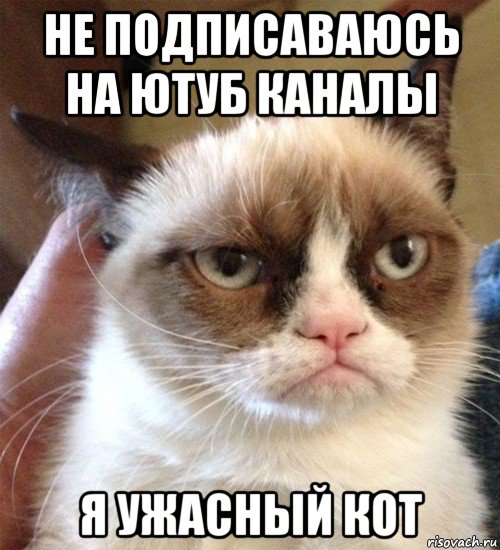не подписаваюсь на ютуб каналы я ужасный кот