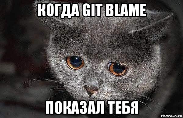 когда git blame показал тебя, Мем  Грустный кот