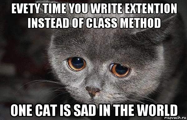evety time you write extention instead of class method one cat is sad in the world, Мем  Грустный кот