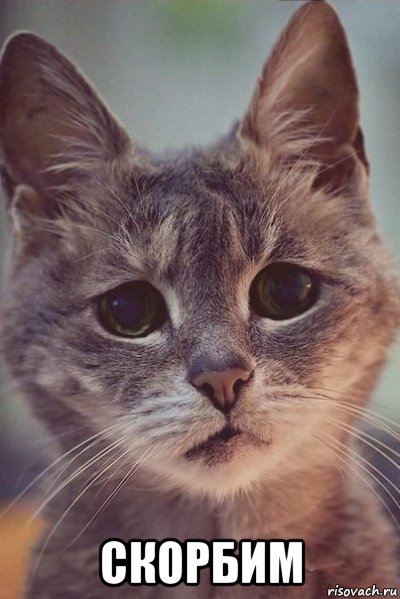  скорбим