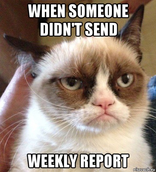 when someone didn't send weekly report, Мем Грустный (сварливый) кот