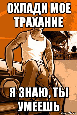 охлади мое трахание я знаю, ты умеешь, Мем GTA