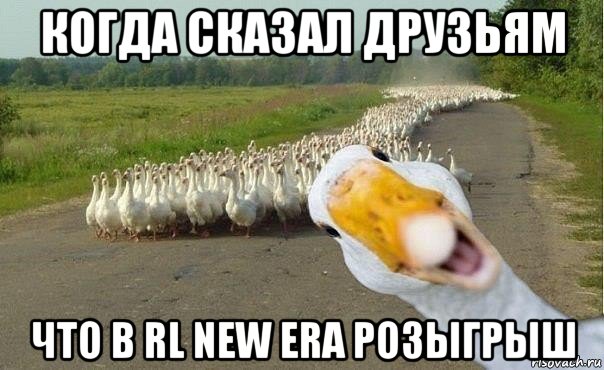 когда сказал друзьям что в rl new era розыгрыш, Мем гуси