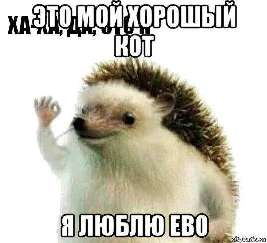 это мой хорошый кот я люблю ево