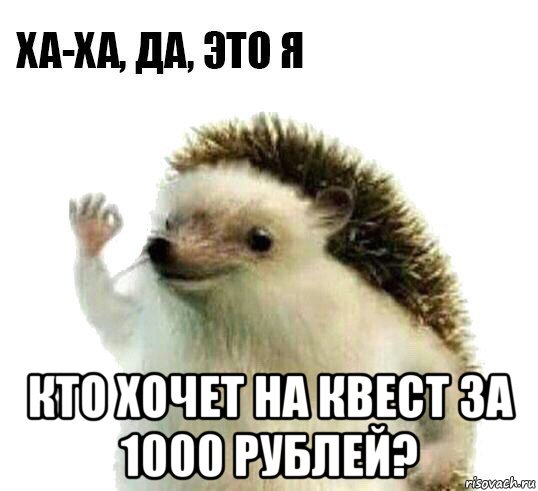  кто хочет на квест за 1000 рублей?