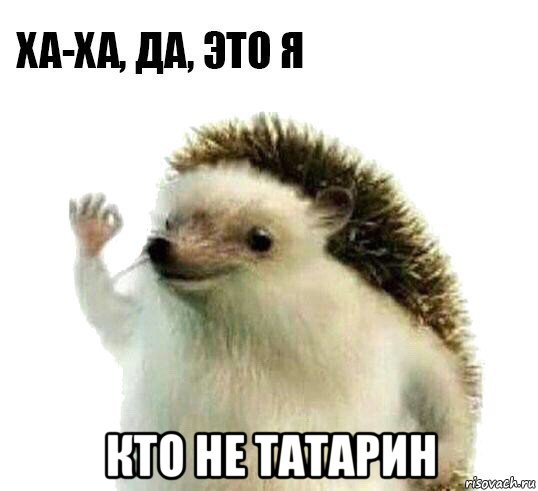  кто не татарин