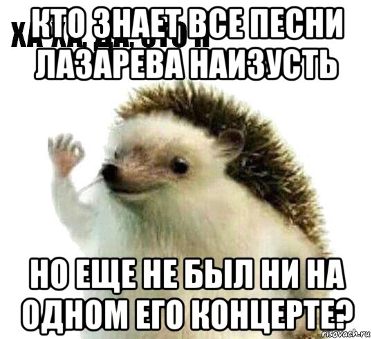 кто знает все песни лазарева наизусть но еще не был ни на одном его концерте?