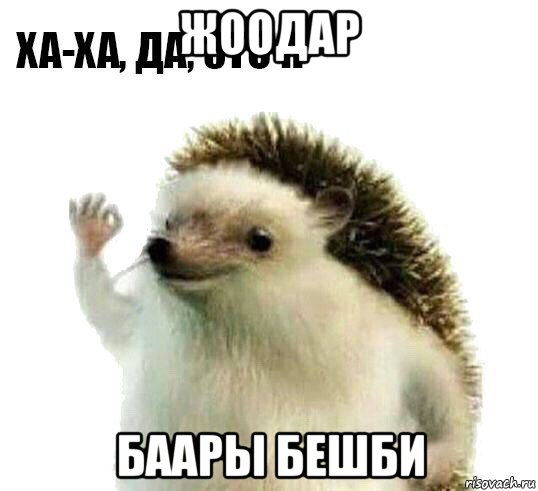 жоодар баары бешби, Мем Ха-ха да это я