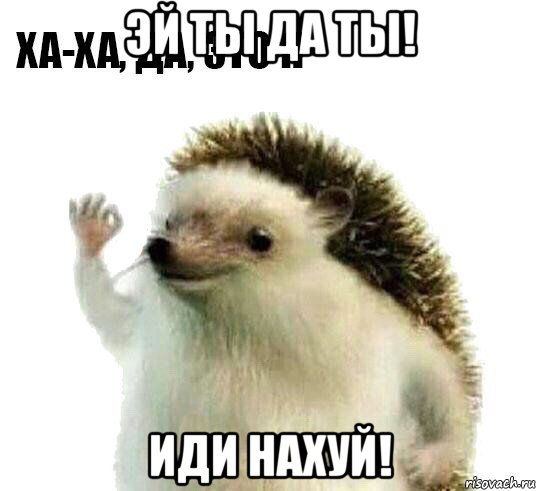 эй ты да ты! иди нахуй!, Мем Ха-ха да это я