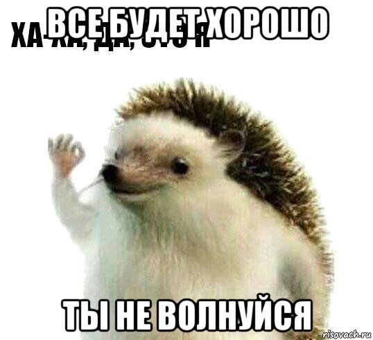 все будет хорошо ты не волнуйся, Мем Ха-ха да это я